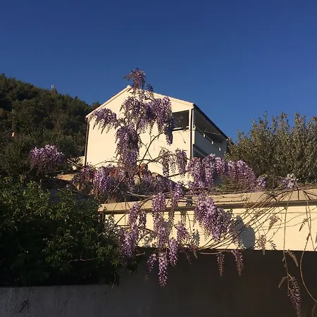 Apartmán Hazdovac *